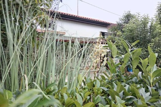 1763981460 thumbnail 1