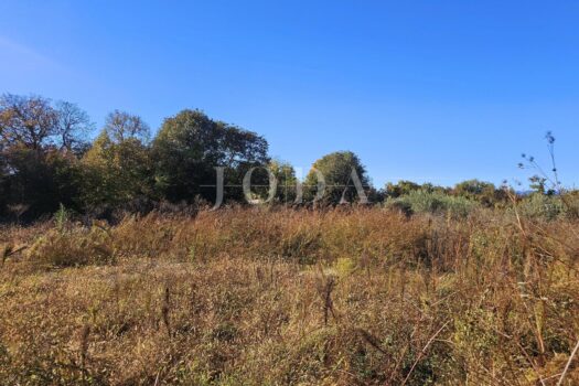 1767358884 37845103 634169 0