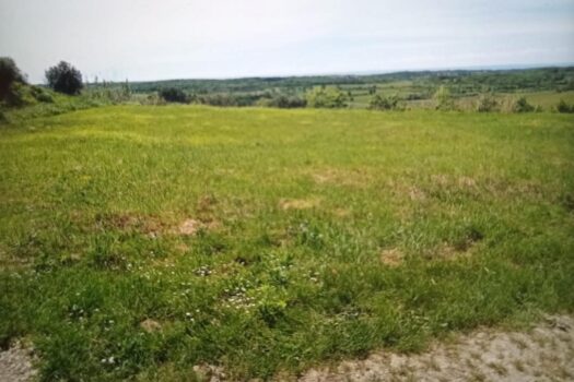 1767614675 thumbnail 2