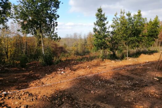 1767710832 img 20260106 wa0039