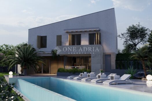 1767866244 kalvisio3d sanvito1 11 photo 1