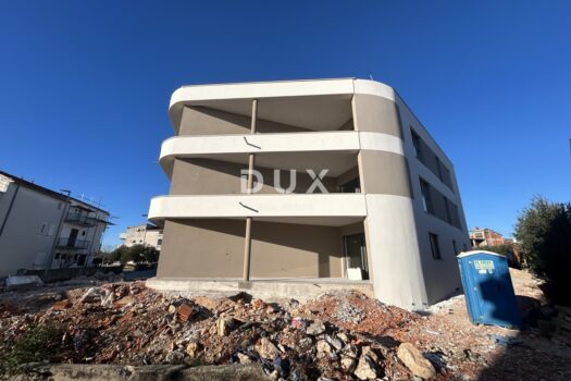 1767882675 img 8178 3