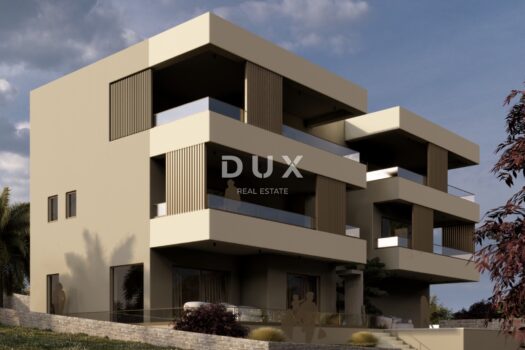 1768218843 photo 2025 11 03 18 21 55