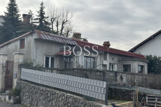 1768230335 1df57210 a5ee 49f2 8d04 06aafadf7bb5