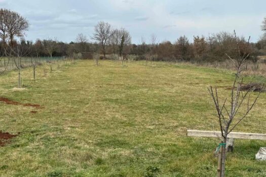 1768232947 thumbnail 20