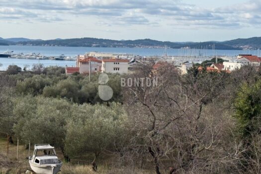 1768244508 f39b5328 4eb8 4274 b4e4 326f0f6e2e60