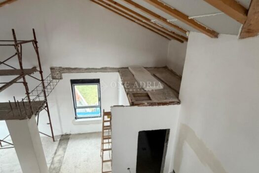 1768293065 2b4f01f9 7327 4277 a855 f0b0e0b96238