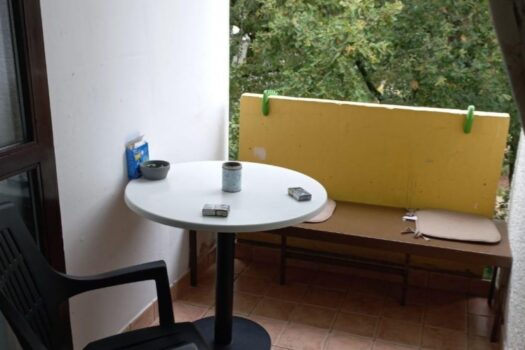 1768310185 thumbnail 4