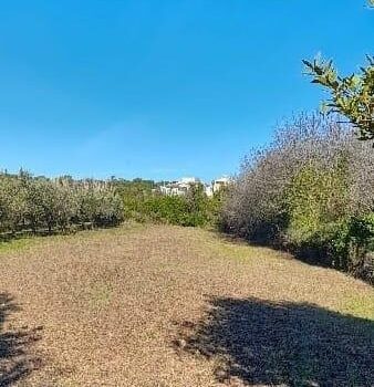 1768413537 thumbnail 1