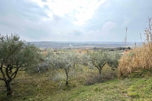 1768417253 thumbnail 3