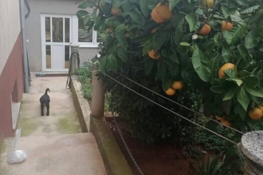 1768473300 thumbnail 6