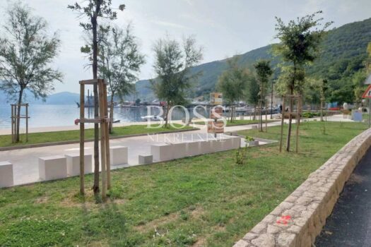 1768478491 img 17e3e78d52b7bbc5a1ec5aaccd1c0174 v