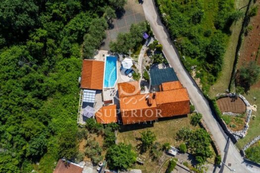 1768487019 522528606