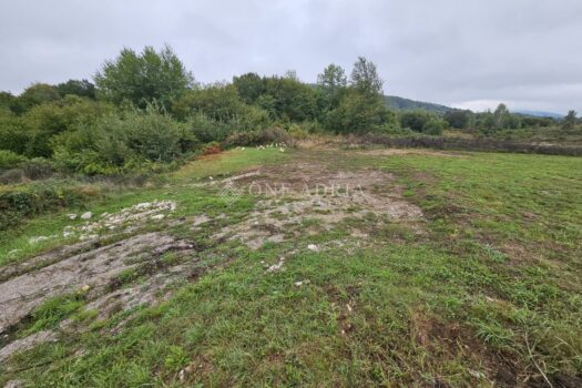 1768553475 b6877216 a2d5 45e4 801a 45db0ad5ee13