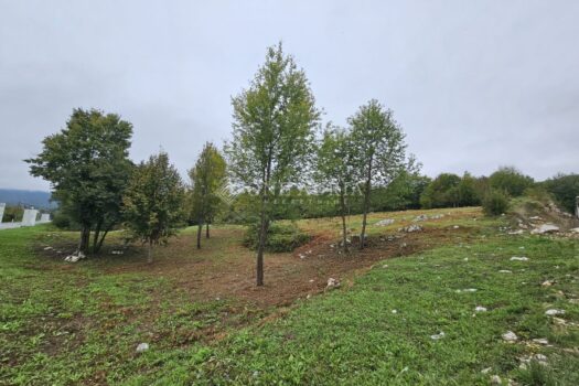 1768553833 01f992be 6151 49e9 a505 82bd7b4e0834