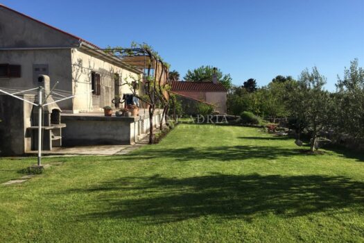 1768563479 3d6b4a0d 97bc 45d3 895f bd43baf09660