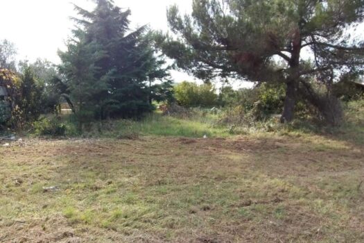 1768565945 thumbnail 1