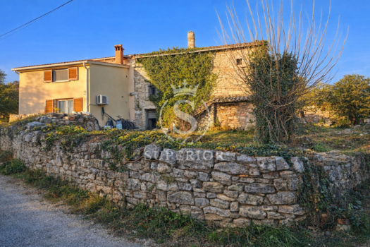 1768820755 chatgpt image jan 19 2026 12 05 26 pm