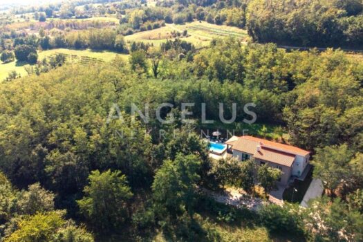 1768937316 499546410