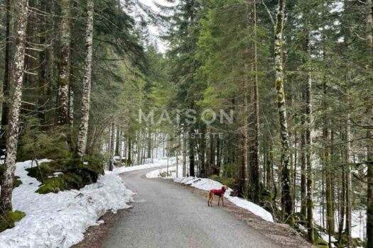 1768990283 ravna gora 2