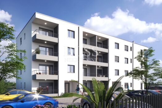 1769093158 img 11c3fa1409751bf02341bfb4bafed69d v