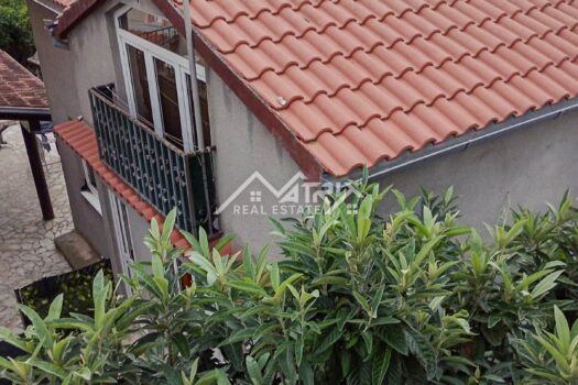 1769122217 mm 17 of 21