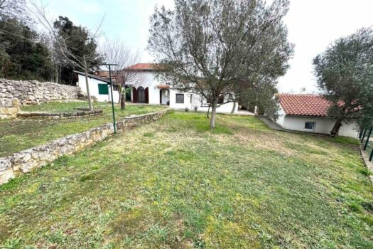 1769186178 thumbnail 20