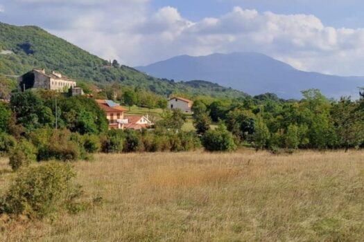 1769191012 thumbnail 24