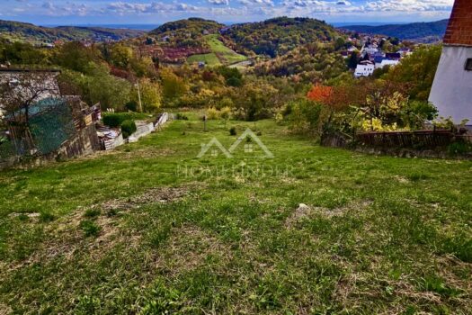 1769506804 97b2bf27 6130 4b0f be6c 2609febc2ff8