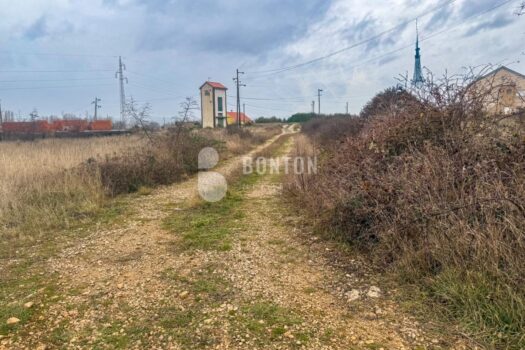 1769592342 ebf8dd74 617c 4bd5 a969 a1c08c583f29