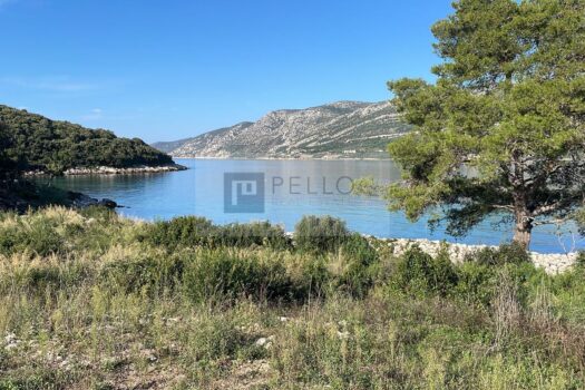 1769622795 1000015251