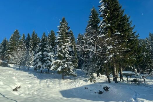 1769684723 ravna gora 1