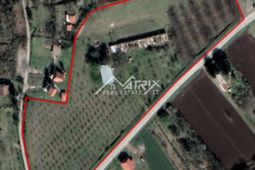 1769770116 aljmas zemljiste s vocnjakom i podrumom