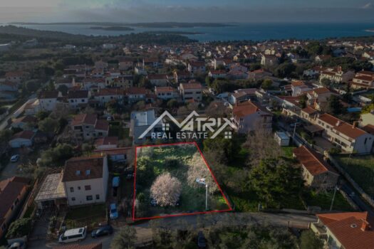 1769804350 mm 3 of 11