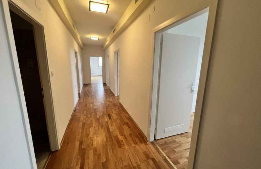 20241023_093151131_iOS