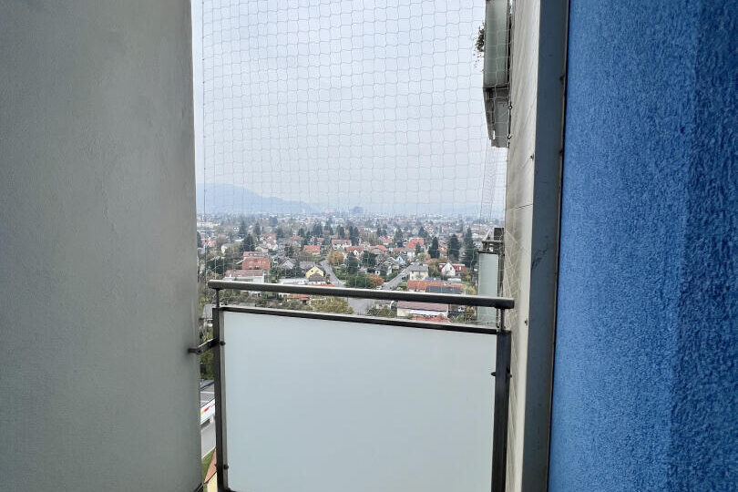 20241023_093251501_iOS