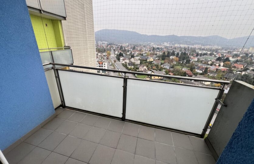 20241023_093355819_iOS