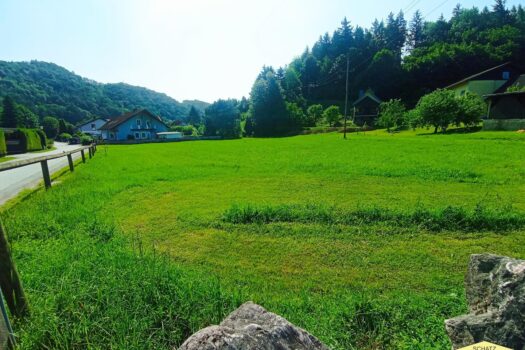 19znlHwa53oQ1Y0iRgMdHn