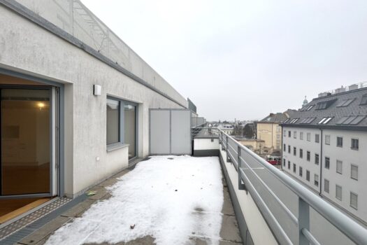 1DayX1Z1T8K9Rz8o5joetu