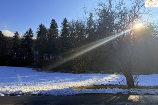 1Gse0kHHqF6Y1lNM5PjKcX