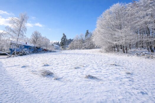 1Hfy9VeKCQuDsKLlE83jjQ