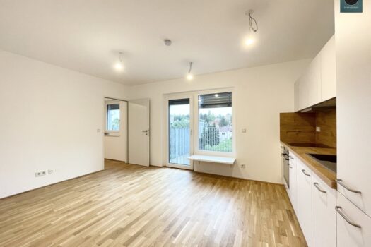 1TSLWvmqrhzwePOb2AL8mf