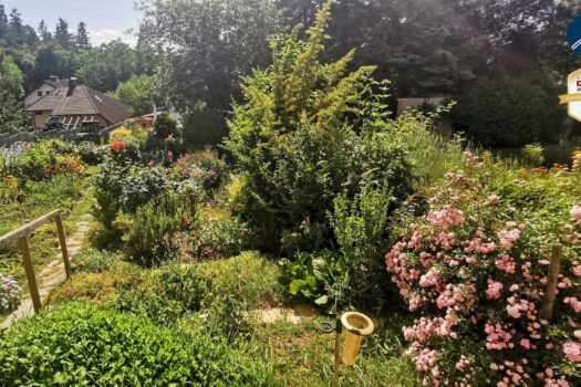 1U94ngEhBqkFC6JaeV5lTY