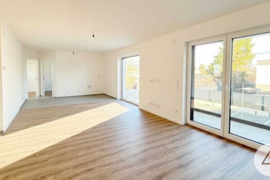 1Y4ITJwgPpeiA8kZpUFPYt