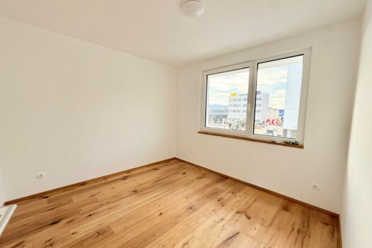 1YSatXllqbVu6pZbPIKlsz