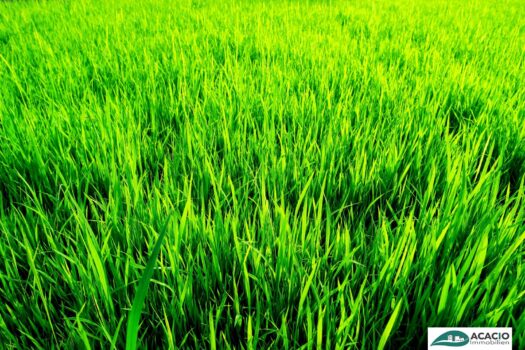 1m9BHHZS08Cfh2wuipZqeo 2