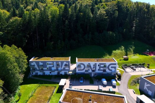 1yXrgZtL3FPLMSka2ZhuEQ