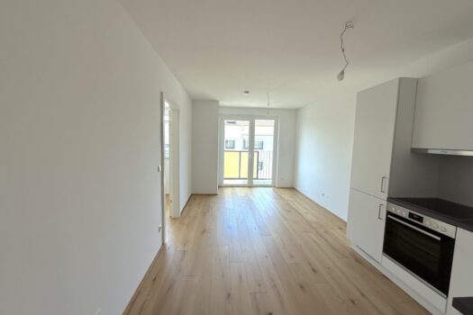 1zjjfL80zCLqmsOinuREVN