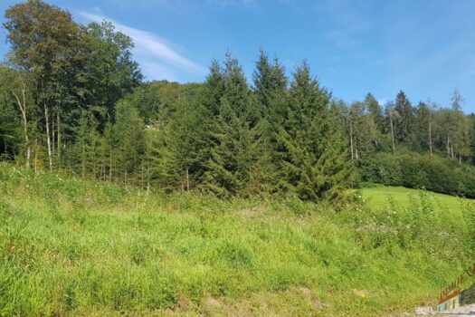 20200827_100934_resized_1