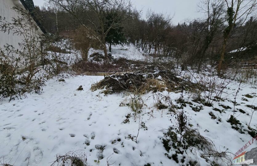 20260113_102843_resized